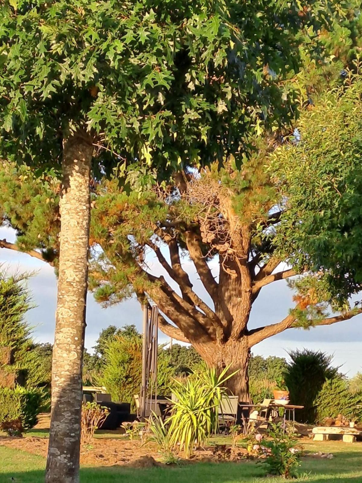 Gite En Campagne Lamegritniere Exterior foto