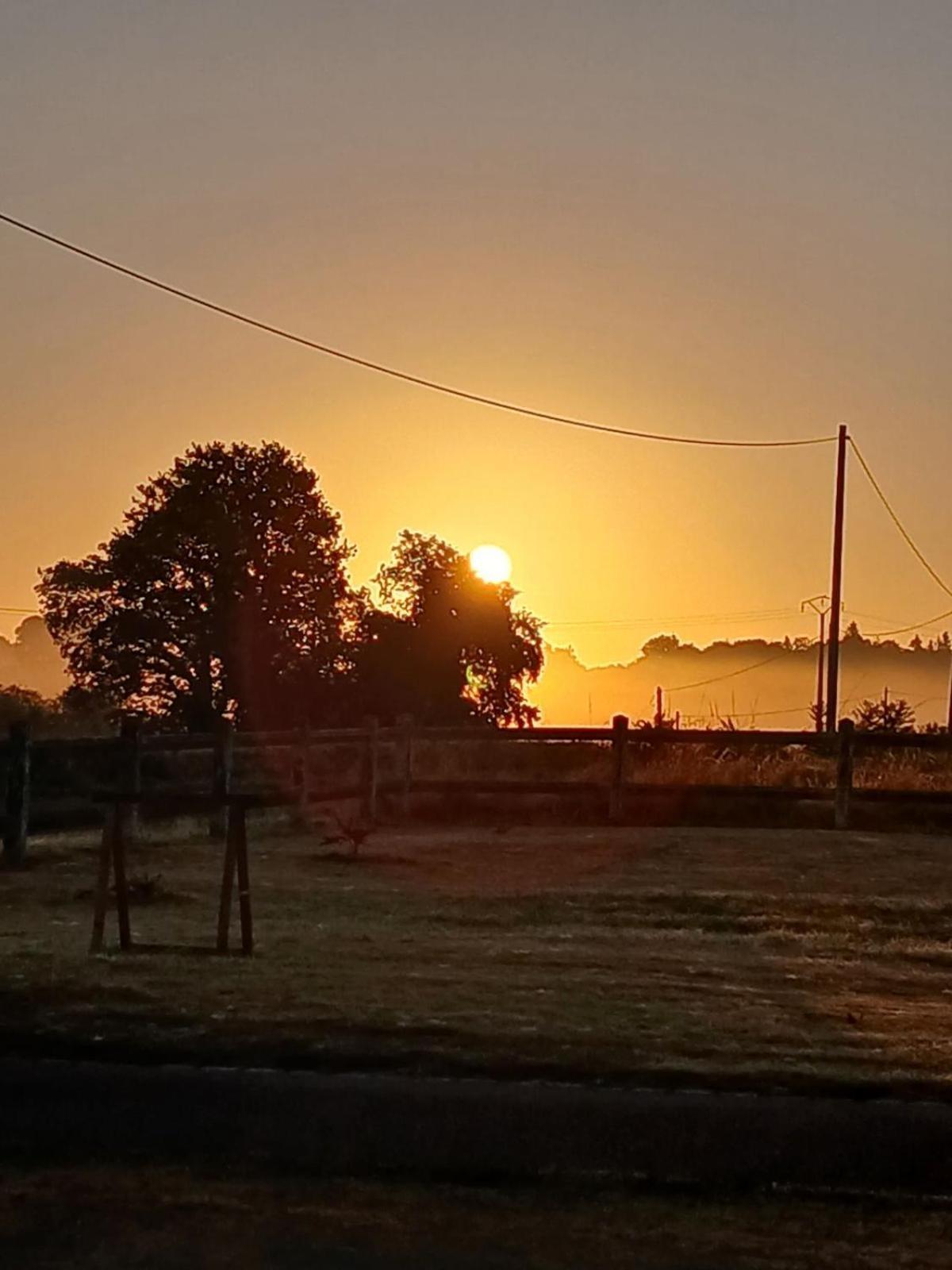Gite En Campagne Lamegritniere Exterior foto
